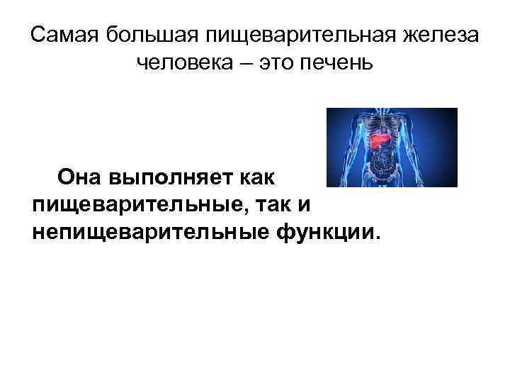 Самая большая пищеварительная железа человека – это печень Она выполняет как пищеварительные, так и
