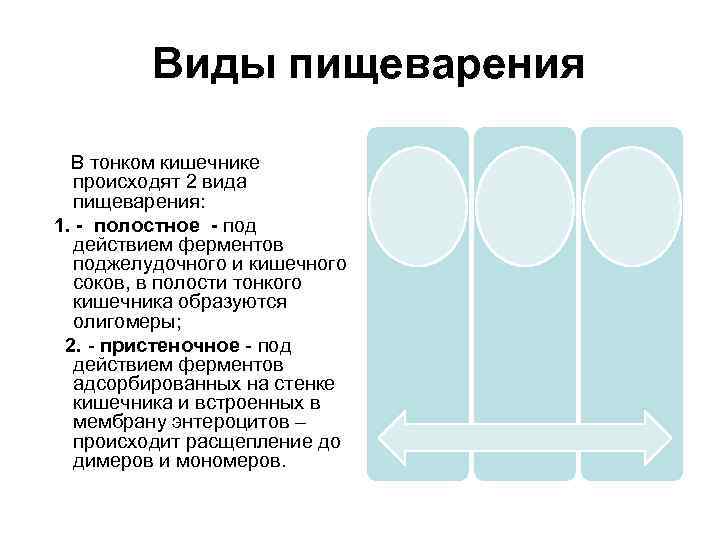 Виды пищеварения В тонком кишечнике происходят 2 вида пищеварения: 1. - полостное - под