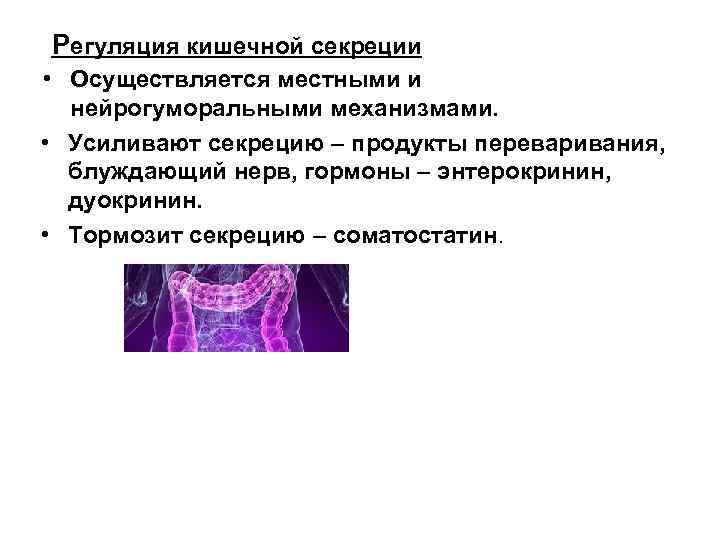 Регуляция кишечной секреции • Осуществляется местными и нейрогуморальными механизмами. • Усиливают секрецию – продукты