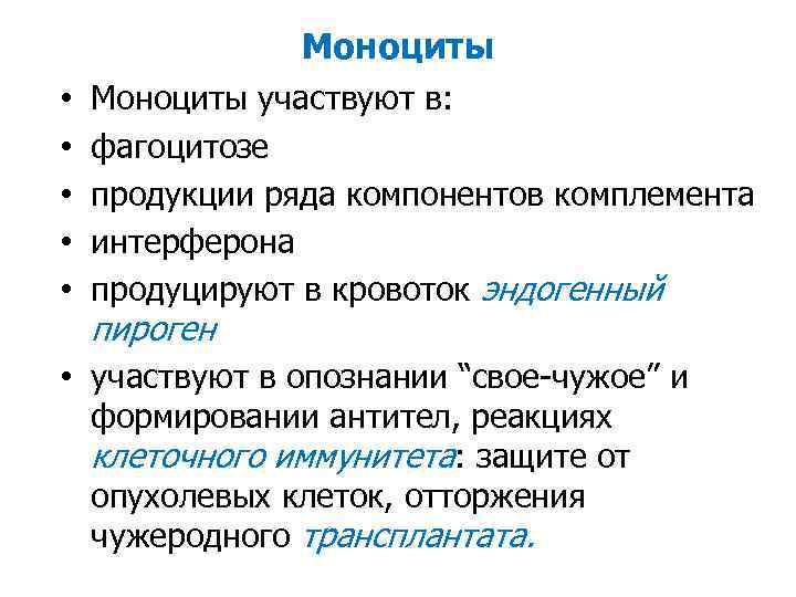 Моноциты • • • Моноциты участвуют в: фагоцитозе продукции ряда компонентов комплемента интерферона продуцируют