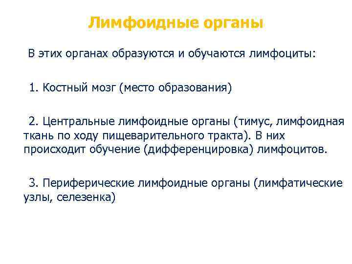 Лимфоидные органы В этих органах образуются и обучаются лимфоциты: 1. Костный мозг (место образования)