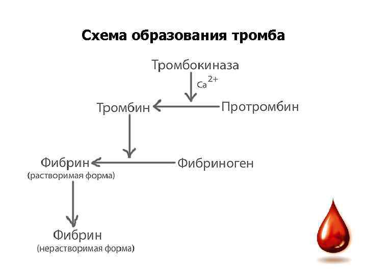 Схема образования тромба 