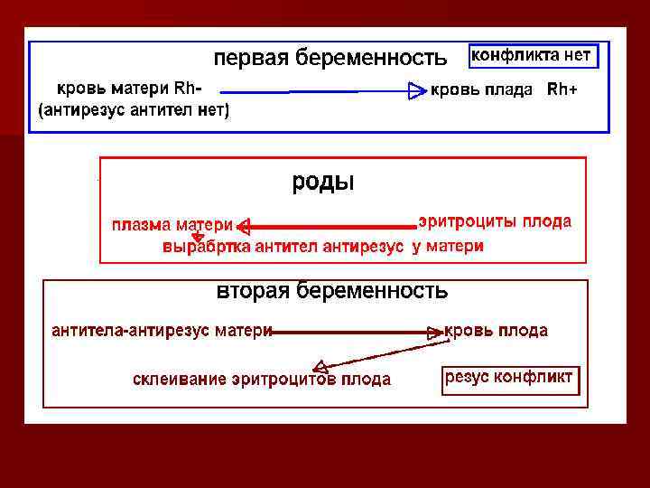 Резус конфликт при второй беременности Резус конфликт при второй беременности