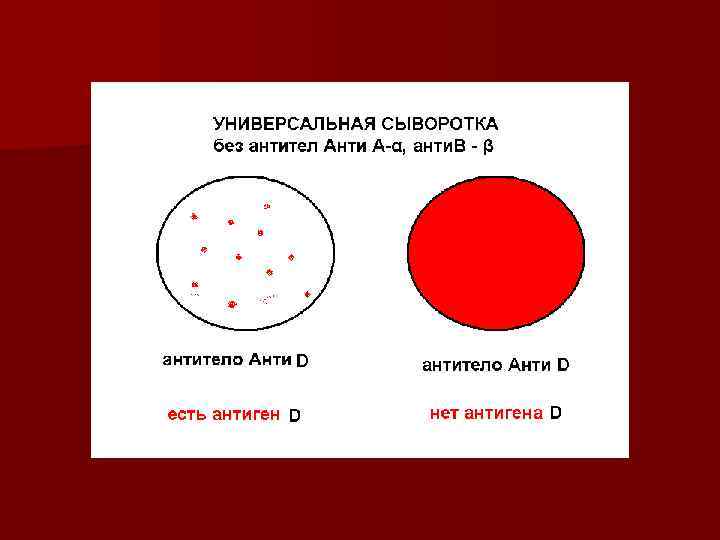 n 3. Проводят прямую пробу на совместимость, учитывая антигены донора (берут цельную n 3. Проводят прямую пробу на совместимость, учитывая антигены донора (берут цельную
