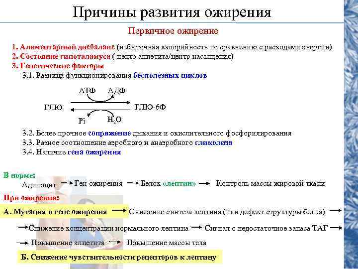 Причины развития ожирения Первичное ожирение 1. Алиментарный дисбаланс (избыточная калорийность по сравнению с расходами