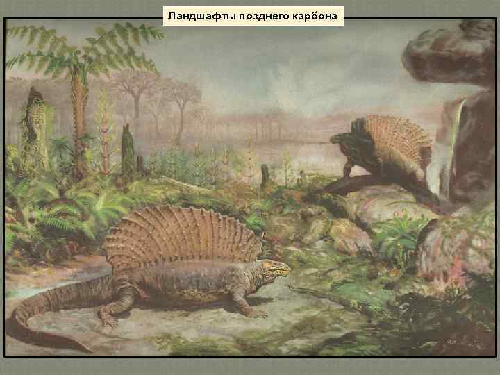 Ландшафты позднего карбона 