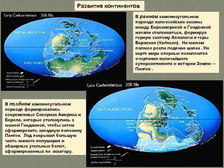 Развитие континентов В раннем каменноугольном периоде палеозойские океаны между Евроамерикой и Гондваной начали сталкиваться,