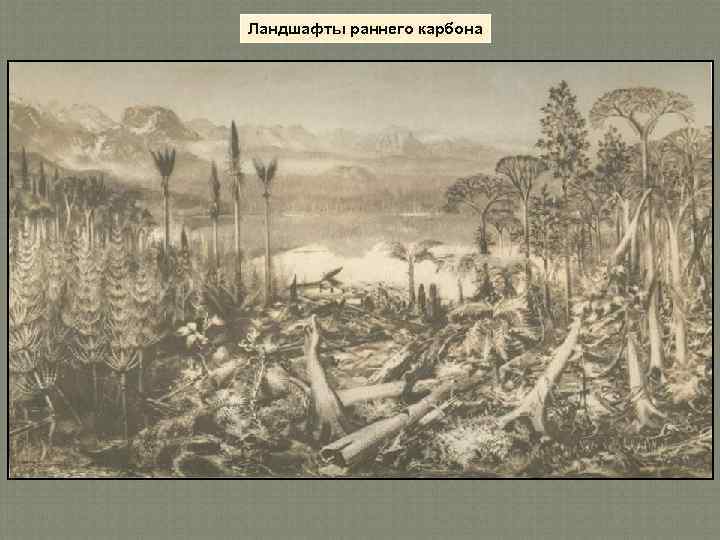 Ландшафты раннего карбона 