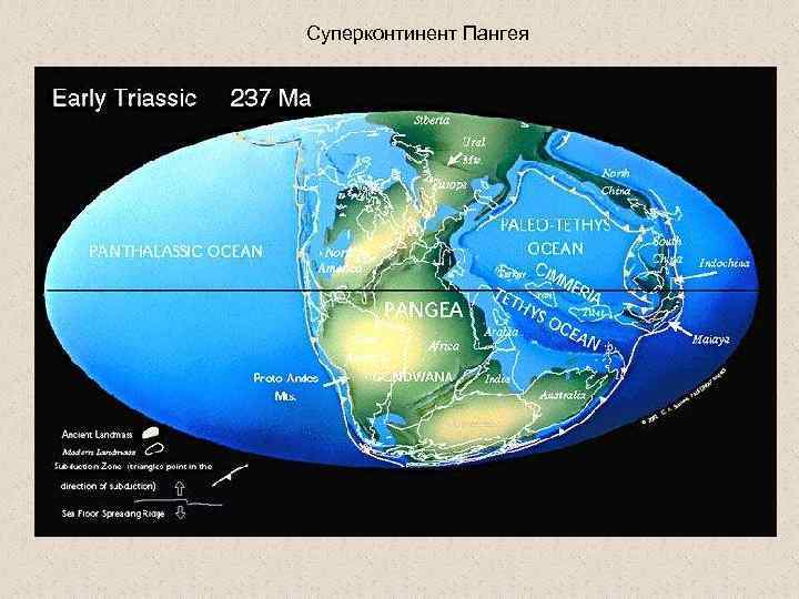 Суперконтинент Пангея 