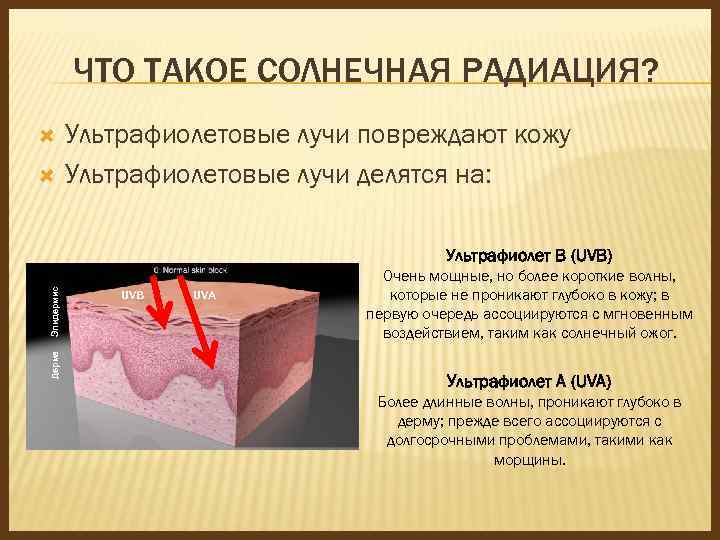 ЧТО ТАКОЕ СОЛНЕЧНАЯ РАДИАЦИЯ? Ультрафиолетовые лучи повреждают кожу Ультрафиолетовые лучи делятся на: Дерма Эпидермис