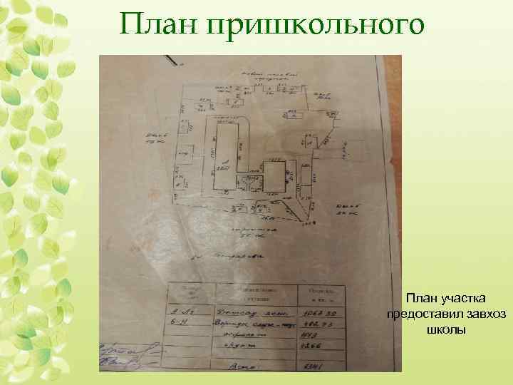 План пришкольного участка План участка предоставил завхоз школы 