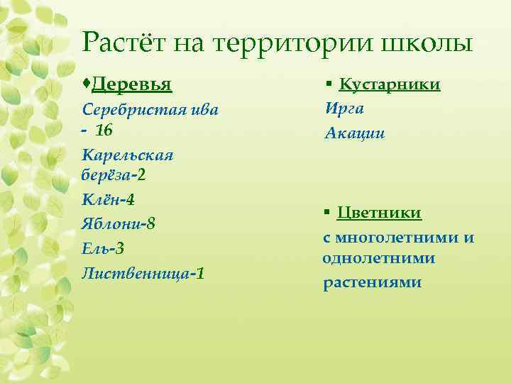 Растёт на территории школы ·Деревья Серебристая ива - 16 Карельская берёза-2 Клён-4 Яблони-8 Ель-3