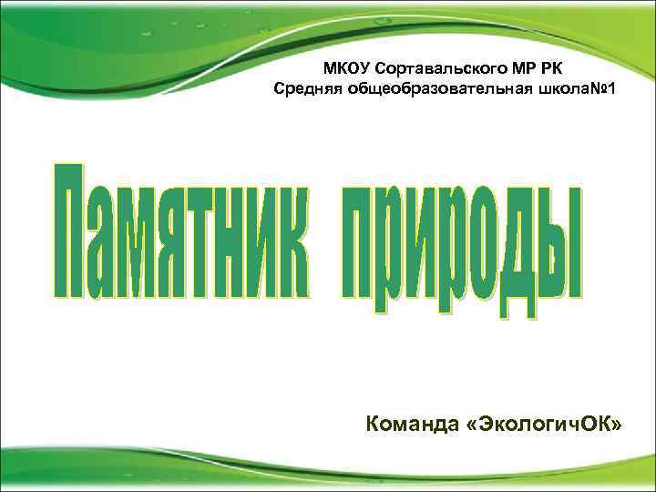МКОУ Сортавальского МР РК Средняя общеобразовательная школа№ 1 Команда «Экологич. ОК» 