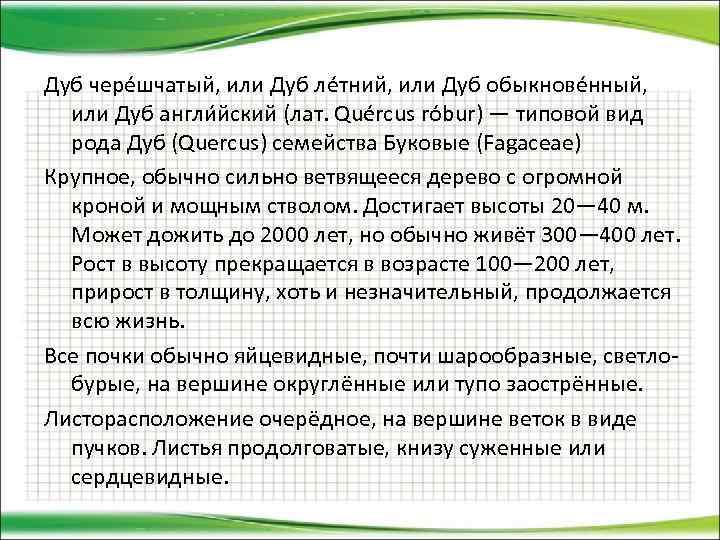 Дуб чере шчатый, или Дуб ле тний, или Дуб обыкнове нный, или Дуб англи