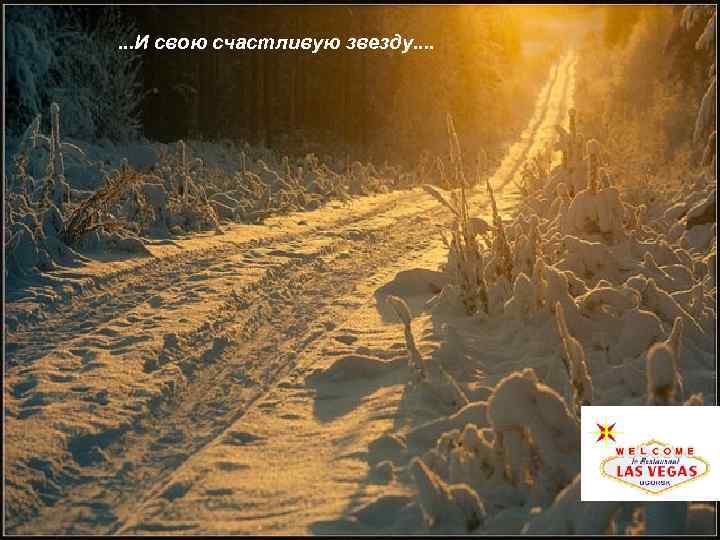 . . . И свою счастливую звезду. . 