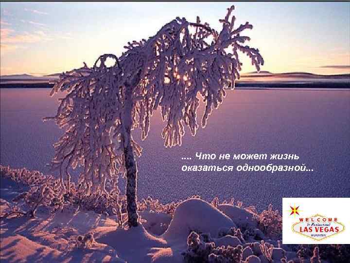 . . Что не может жизнь оказаться однообразной. . . 