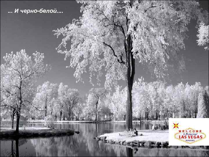 . . . И черно-белой. . 