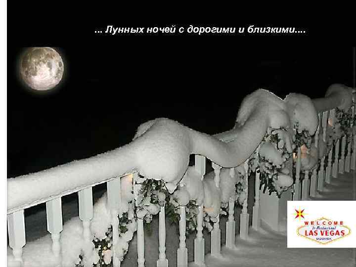……. . . . Лунных ночей с дорогими и близкими. . 