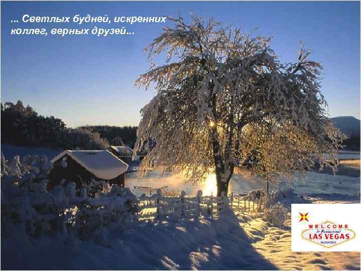 . . . Светлых будней, искренних коллег, верных друзей. . . 