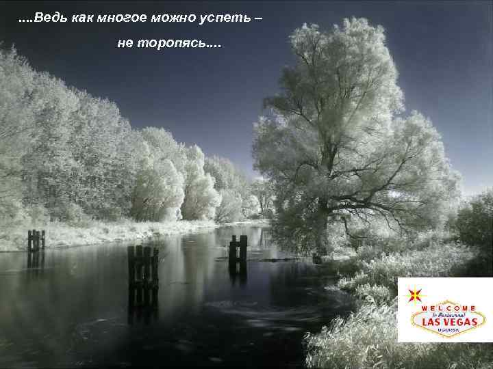 . . Ведь как многое можно успеть – не торопясь. . 