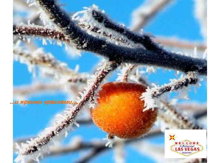 . . . и яркими красками. . 