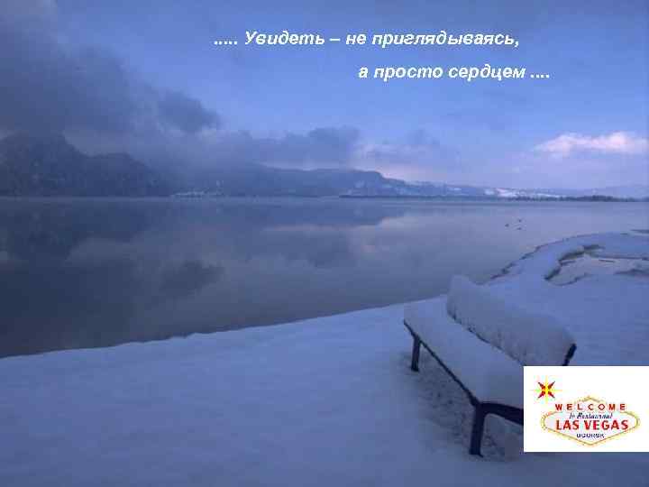 . . . Увидеть – не приглядываясь, а просто сердцем. . 