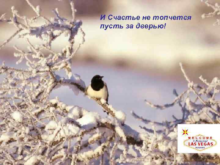 И Счастье не топчется пусть за дверью! 