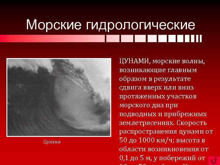 Морские гидрологические Цунами ЦУНАМИ, морские волны, возникающие главным образом в результате сдвига вверх или