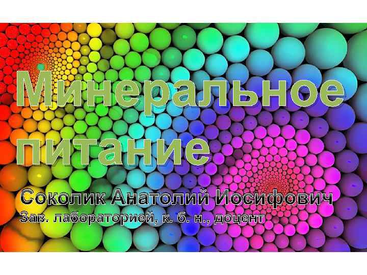 Минеральное питание Соколик Анатолий Иосифович Зав. лабораторией, к. б. н. , доцент 