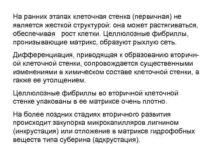 На ранних этапах клеточная стенка (первичная) не является жесткой структурой: она может растягиваться, обеспечивая