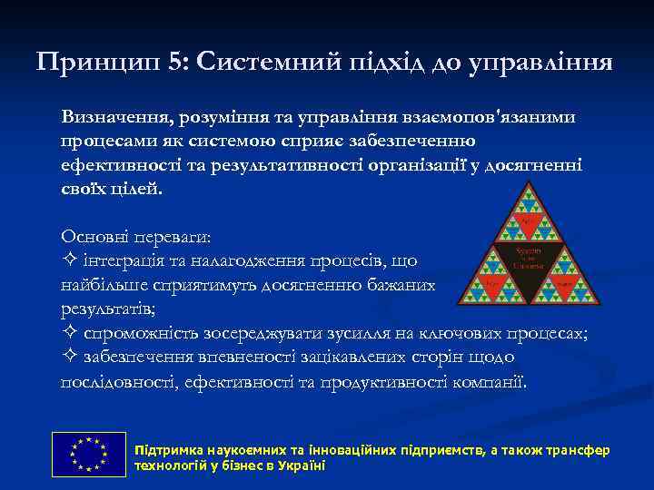 Принцип 5: Системний підхід до управління Визначення, розуміння та управління взаємопов'язаними процесами як системою