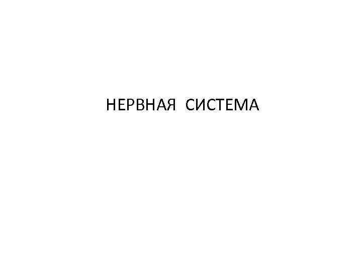 НЕРВНАЯ СИСТЕМА 