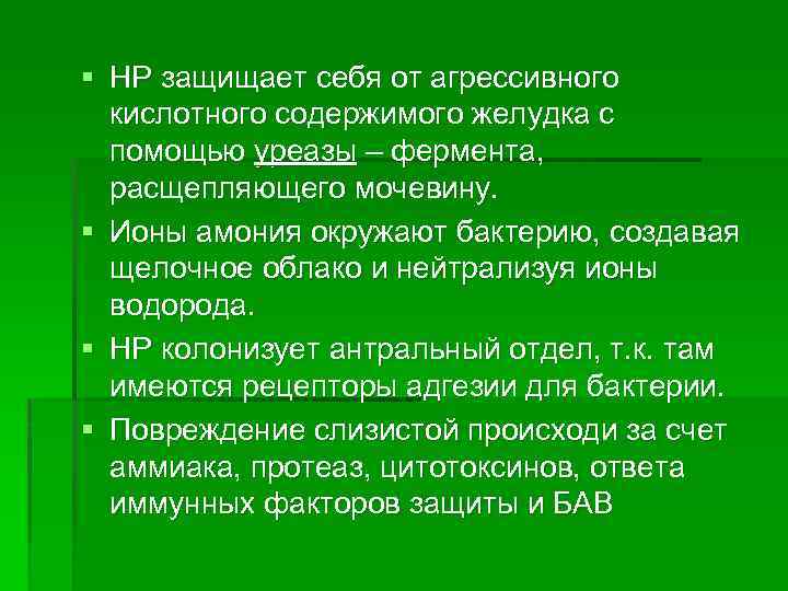 § HP защищает себя от агрессивного кислотного содержимого желудка с помощью уреазы – фермента,