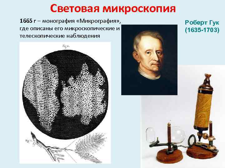 Световая микроскопия 1665 г – монография «Микрография» , где описаны его микроскопические и телескопические