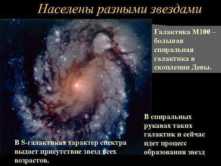 Населены разными звездами Галактика M 100 – большая спиральная галактика в скоплении Девы. В