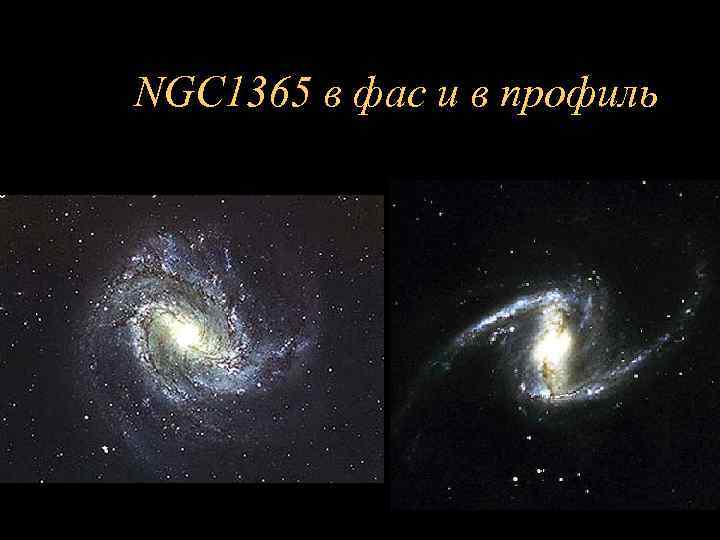 NGC 1365 в фас и в профиль 