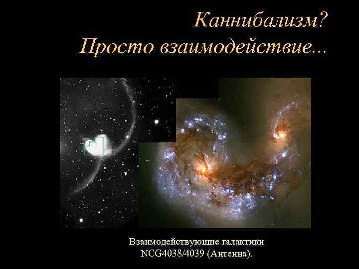 Каннибализм? Просто взаимодействие. . . Взаимодействующие галактики NCG 4038/4039 (Антенна). 