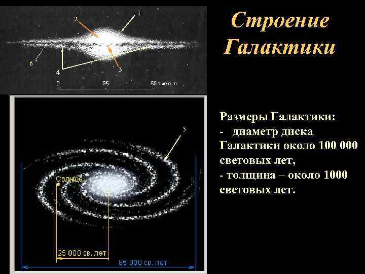 Цифрой 2 на рисунке отмечено гало цифрой 4 на рисунке отмечены спиральные рукава