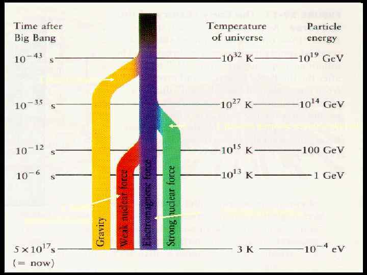 Гравитация Сильное ядерное взаимодействие Слабое взаимодействие Электромагнитное 