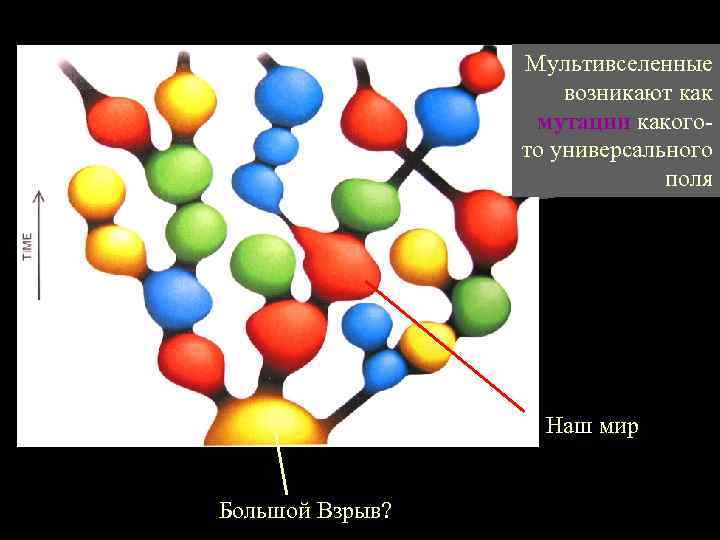 Мультивселенные возникают как мутации какогото универсального поля Наш мир Большой Взрыв? 