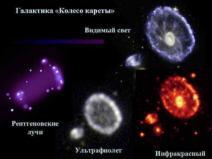 Галактика «Колесо кареты» Видимый свет Рентгеновские лучи Ультрафиолет Инфракрасный 