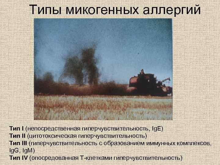 Типы микогенных аллергий Тип I (непосредственная гиперчувствительность, Ig. E) Тип II (цитотоксическая гиперчувствительность) Тип