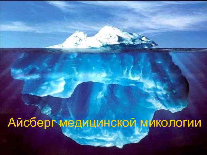 Айсберг медицинской микологии 