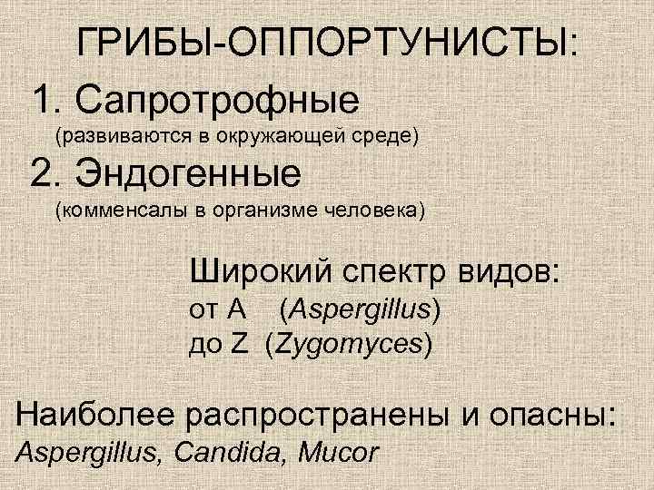 ГРИБЫ-ОППОРТУНИСТЫ: 1. Сапротрофные (развиваются в окружающей среде) 2. Эндогенные (комменсалы в организме человека) Широкий