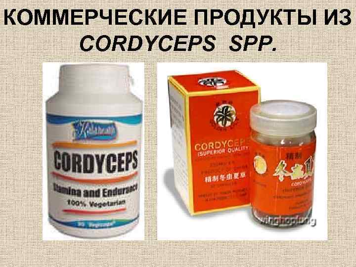 КОММЕРЧЕСКИЕ ПРОДУКТЫ ИЗ CORDYCEPS SPP. 