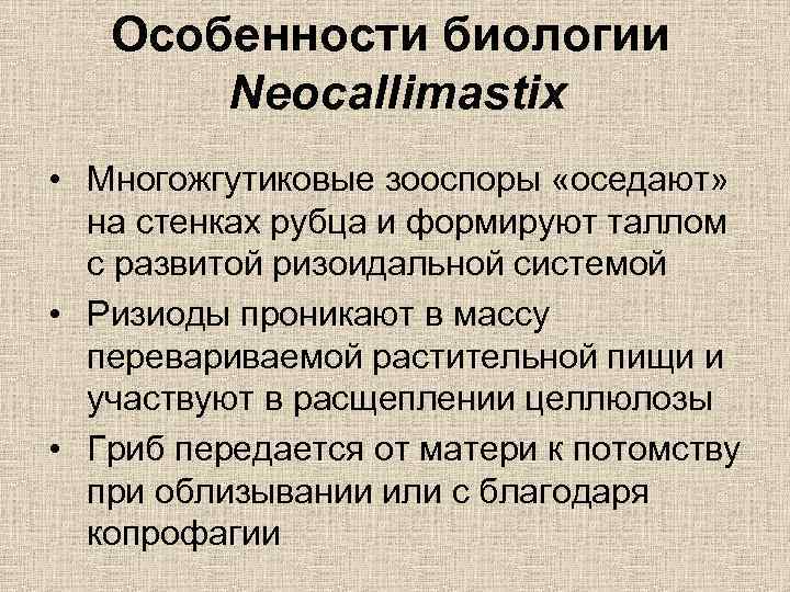 Особенности биологии Neocallimastix • Многожгутиковые зооспоры «оседают» на стенках рубца и формируют таллом с