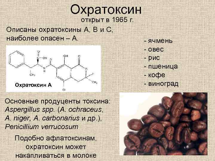 Охратоксин открыт в 1965 г. Описаны охратоксины А, B и С, наиболее опасен –