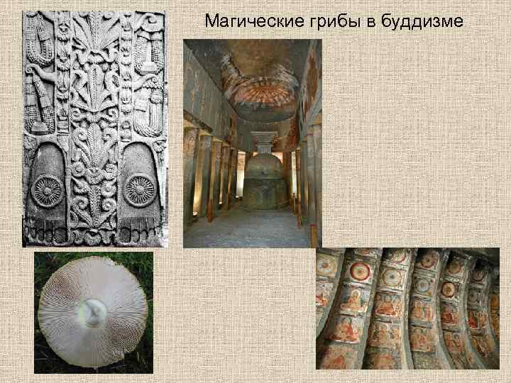 Магические грибы в буддизме 