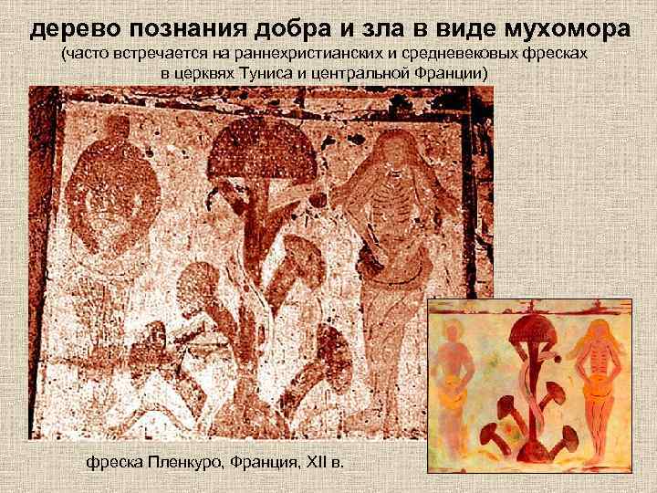 дерево познания добра и зла в виде мухомора (часто встречается на раннехристианских и cредневековых