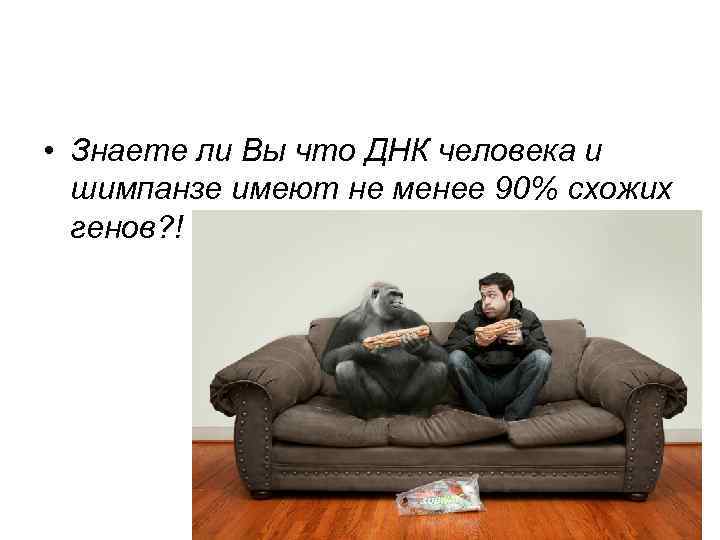  • Знаете ли Вы что ДНК человека и шимпанзе имеют не менее 90%